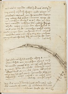 Código sobre el vuelo de los pájaros, c. 1505-06, manuscrito en papel, cc. 18, hoja 7 recto de Leonardo da Vinci